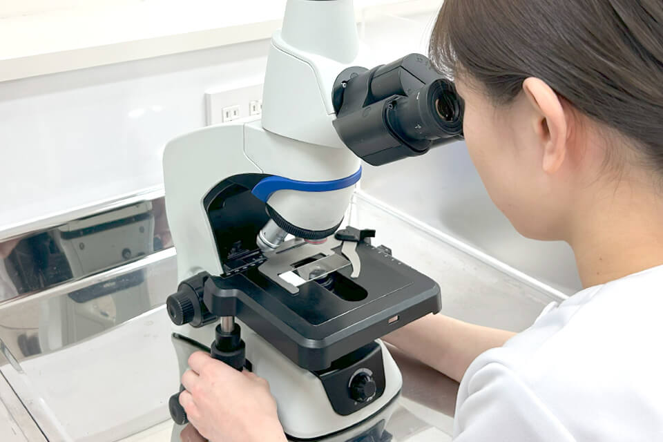 臨床検査技師